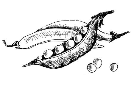 groch