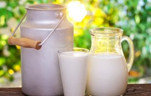 Probiotyki – samo zdrowie ?