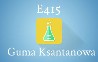 E415 – Guma Ksantanowa