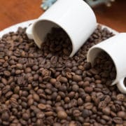 odmiany kawy