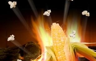 Popcorn… na zdrowie ! popcorn