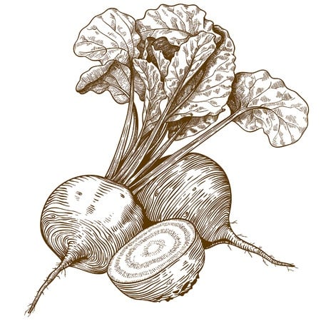 buraki