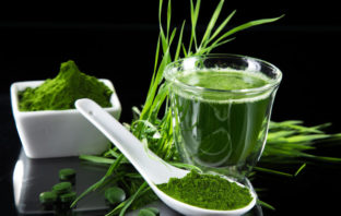 Spirulina – właściwości spirulina właściwości