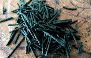 Spirulina – właściwości