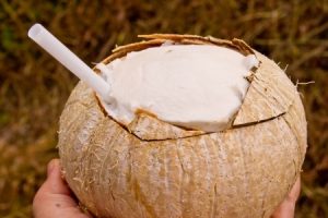 kokos