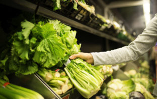 Jak wybierać warzywa liściaste w supermarkecie? jak wybierać warzywa liściaste