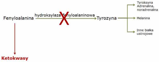 fenyloketonuria 1
