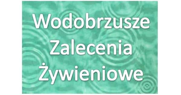 wodobrzusze