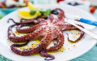 Wysokotłuszczowa dieta śródziemnomorska wysokotłuszczowa dieta śródziemnomorska