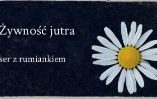 Ser z rumiankiem – żywność jutra?