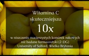 Witamina C skuteczna w niszczeniu macierzystych komórek rakowych