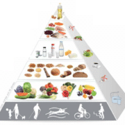 piramida żywienia iżż