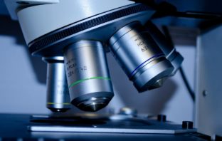 PQQ pomocny w zapobieganiu NAFLD? badania