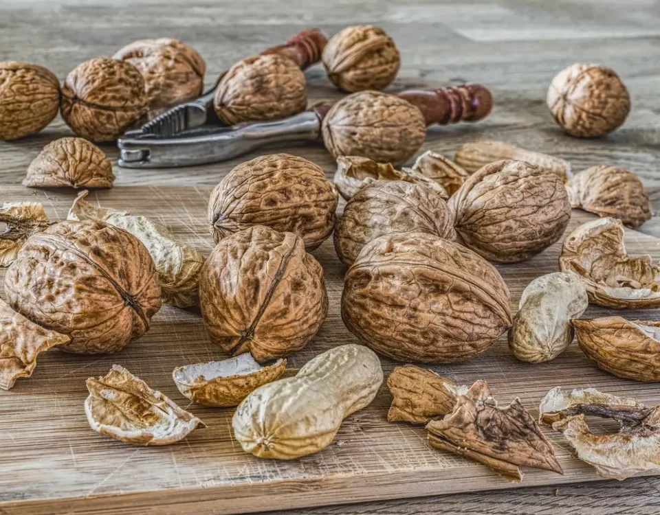 orzechy włoskie