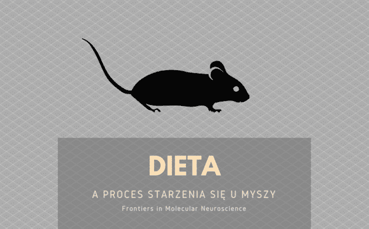 dieta a proces starzenia się u myszy