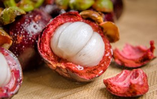 Mangostan i Cynamonowiec – pomocna dłoń w treningu mangostan