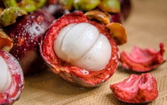 Mangostan i Cynamonowiec – pomocna dłoń w treningu mangostan