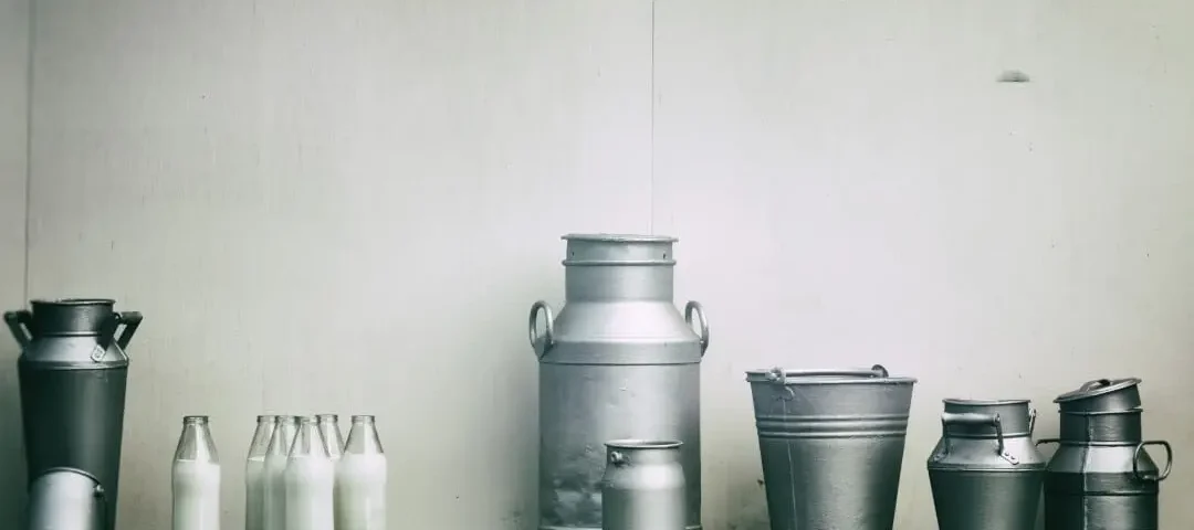 kolostrum