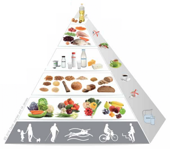 piramida żywienia 2021