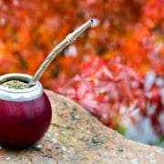 yerba mate