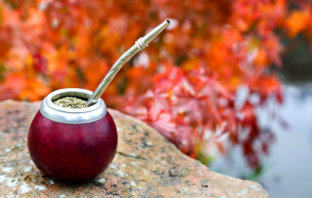 Yerba Mate – właściwości yerba mate