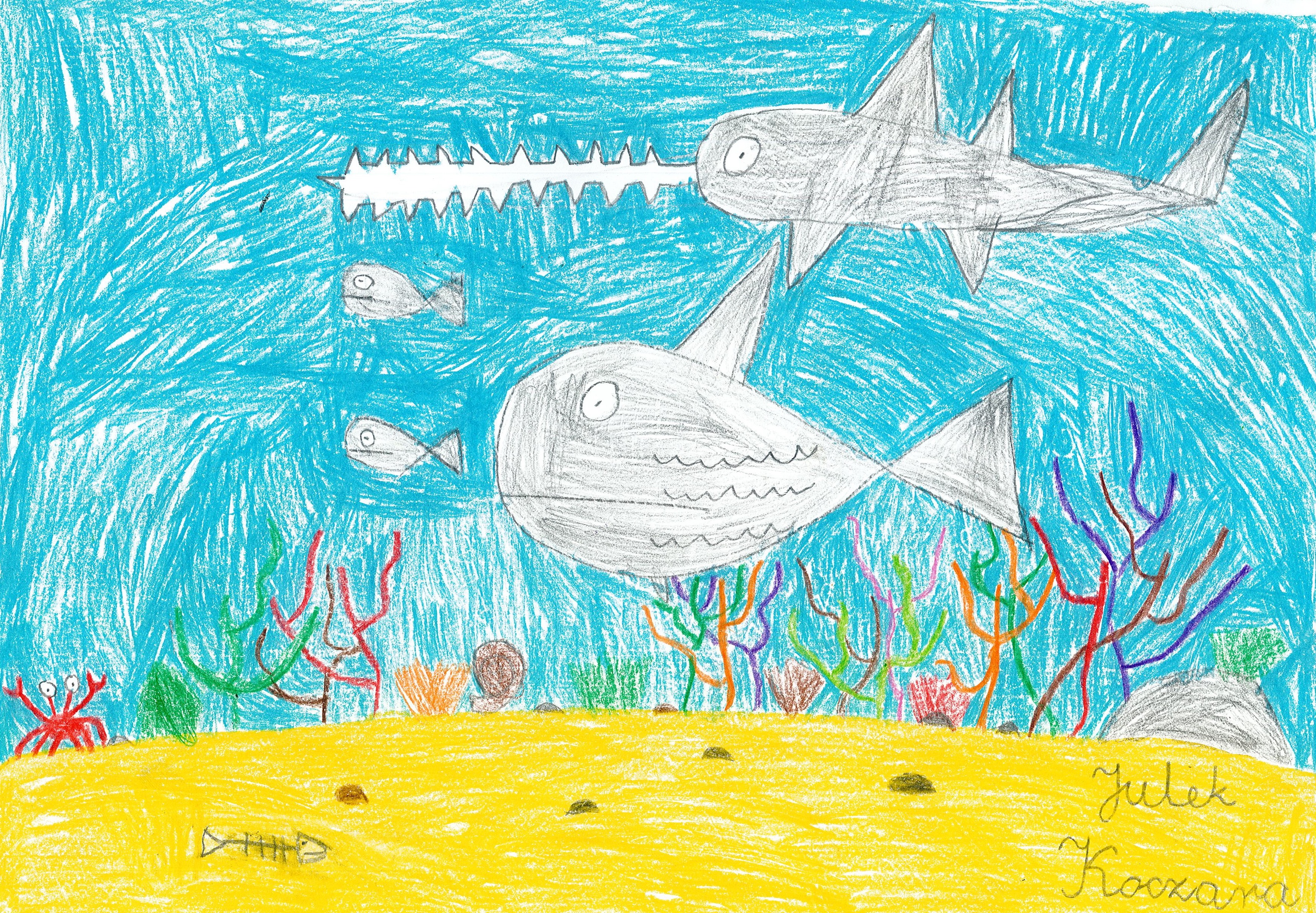 ilustracja ryby