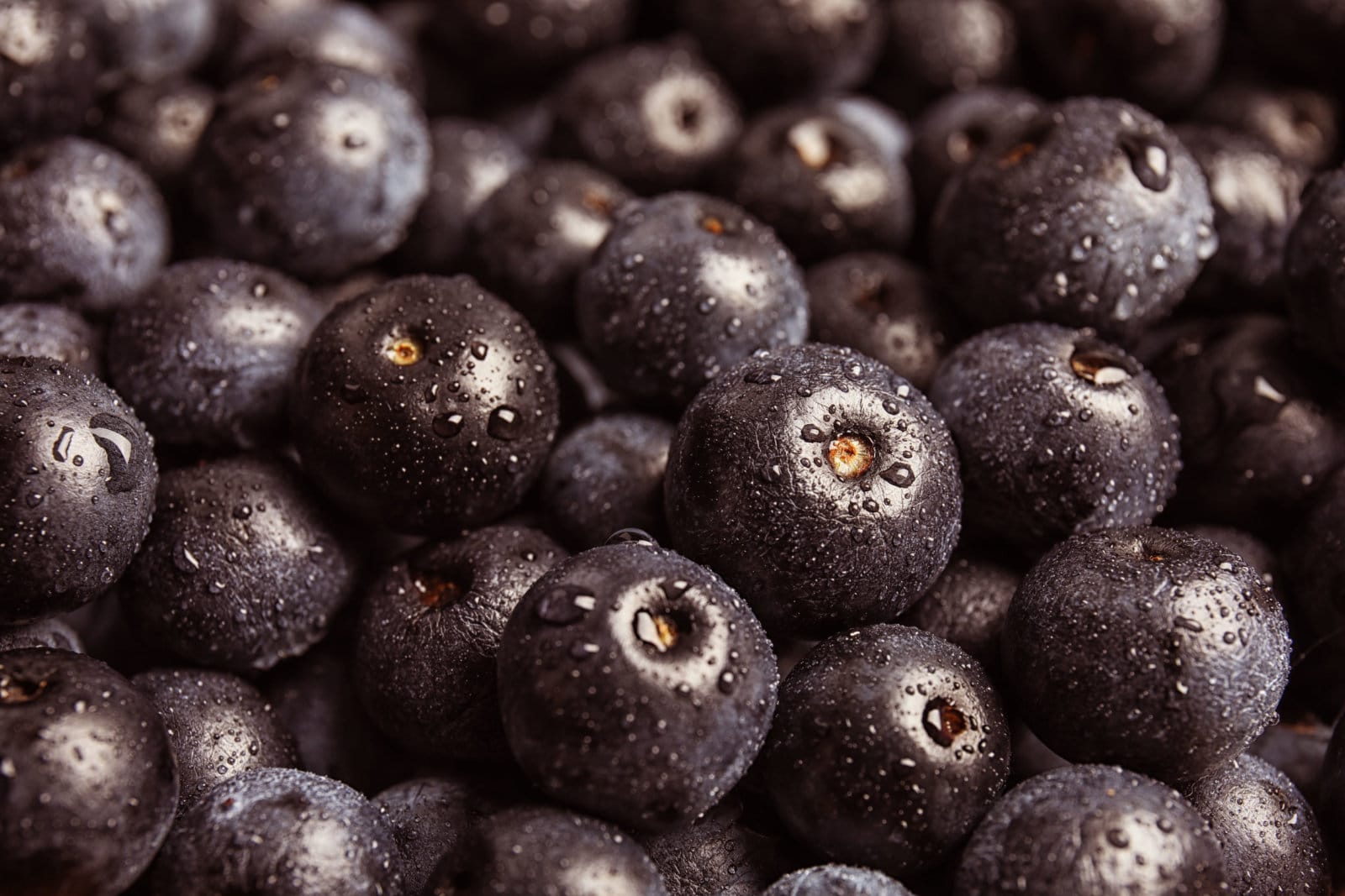 jagody acai