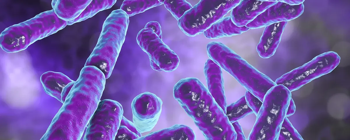 probiotyki