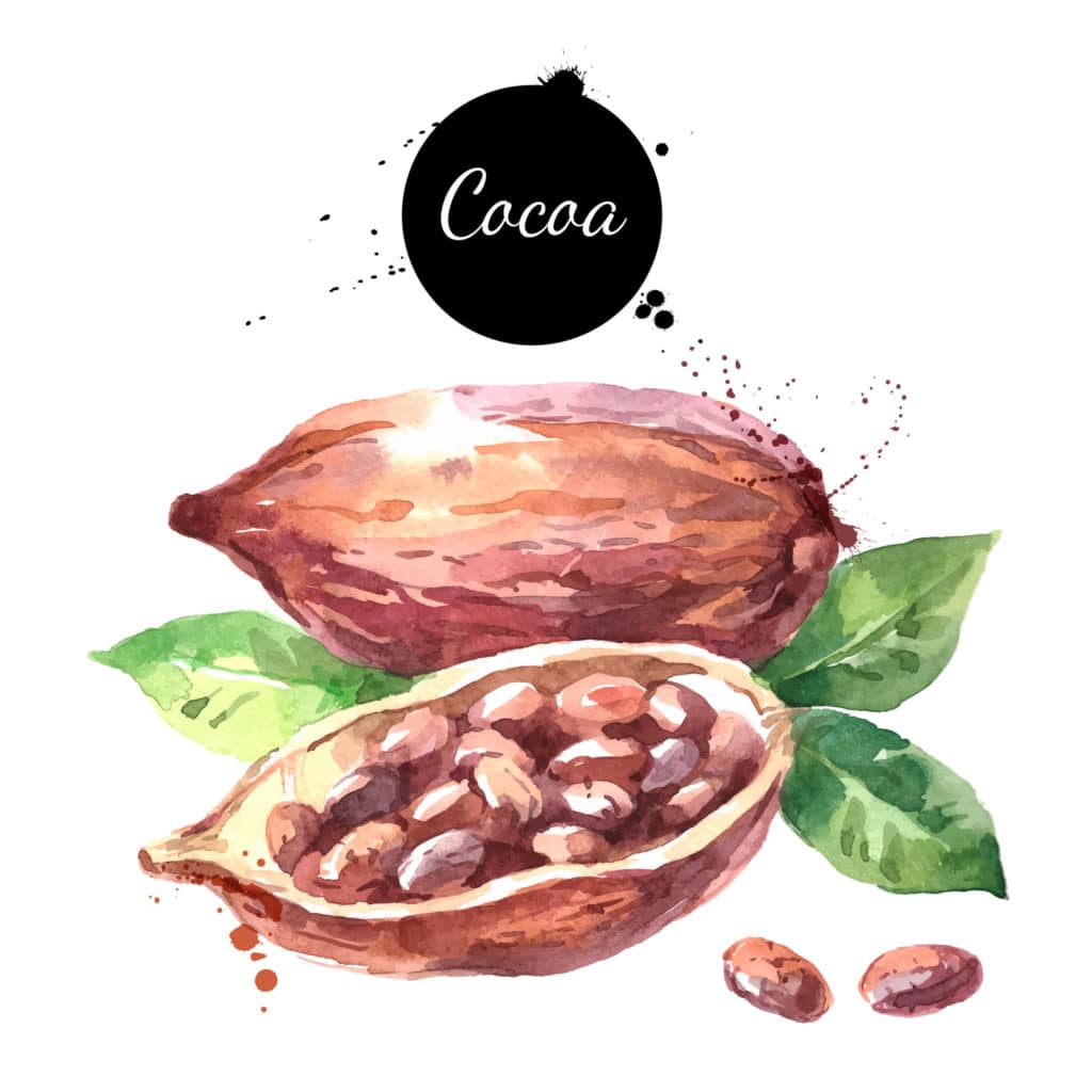 kakao ziarna