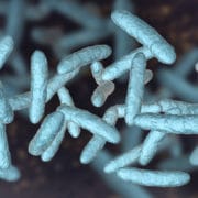 mikrobiom stan zapalny