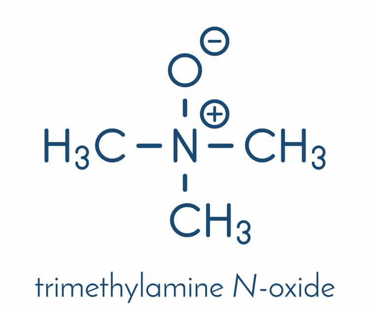Trimethylamine N-oxide (TMAO) molecule. Skeletal formula.