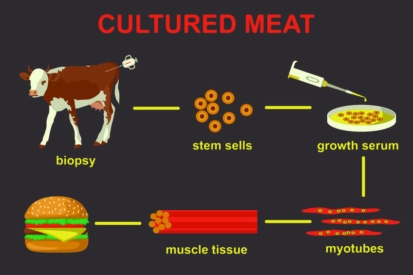 mięso z probówki proces