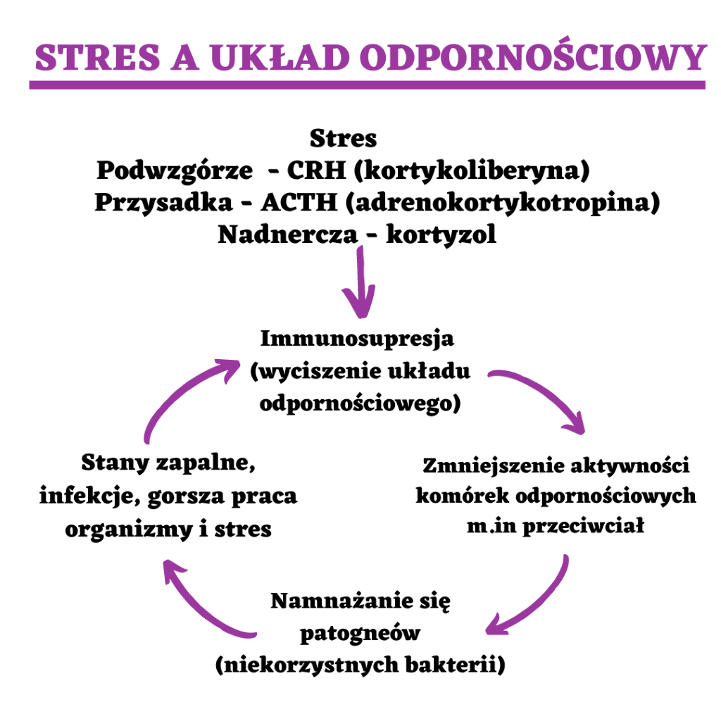 Stres XXI W. - Jak Wpływa Stres Na Zdrowie Ludzi