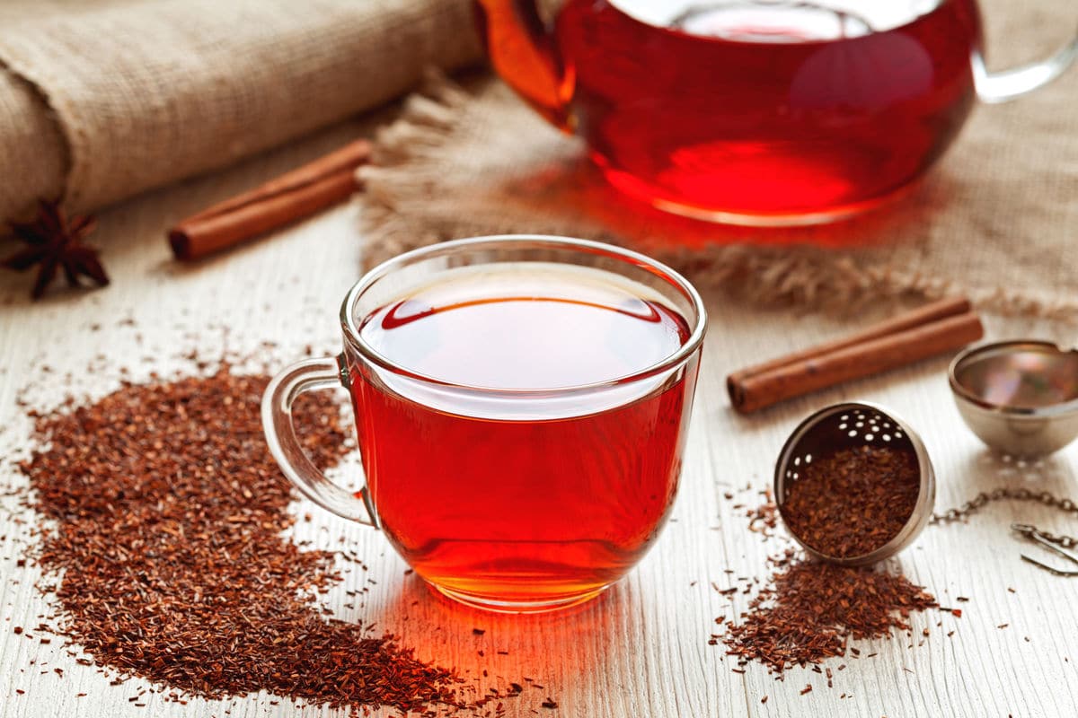 herbata z czerwonokrzewu