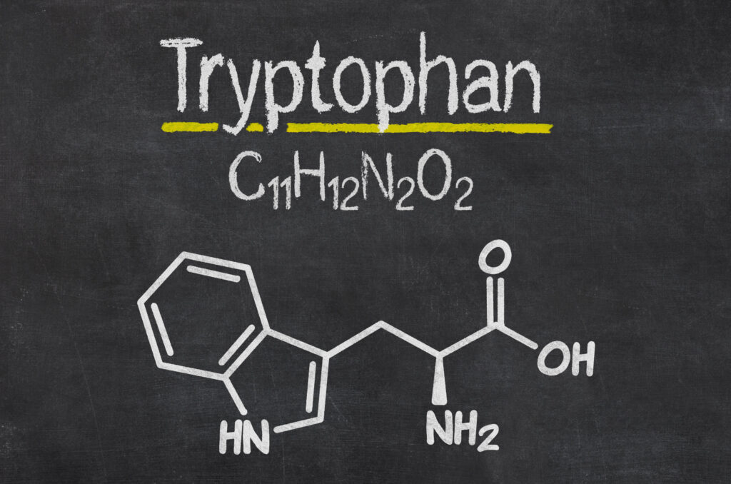 tryptofan wzór