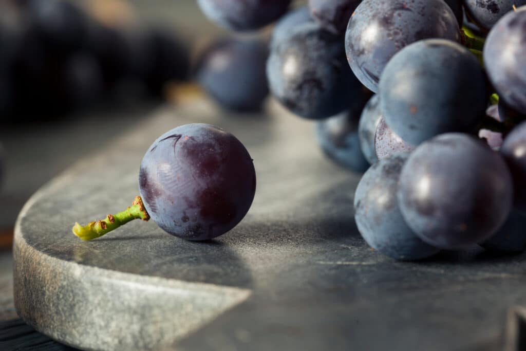 resweratrol w winogronach