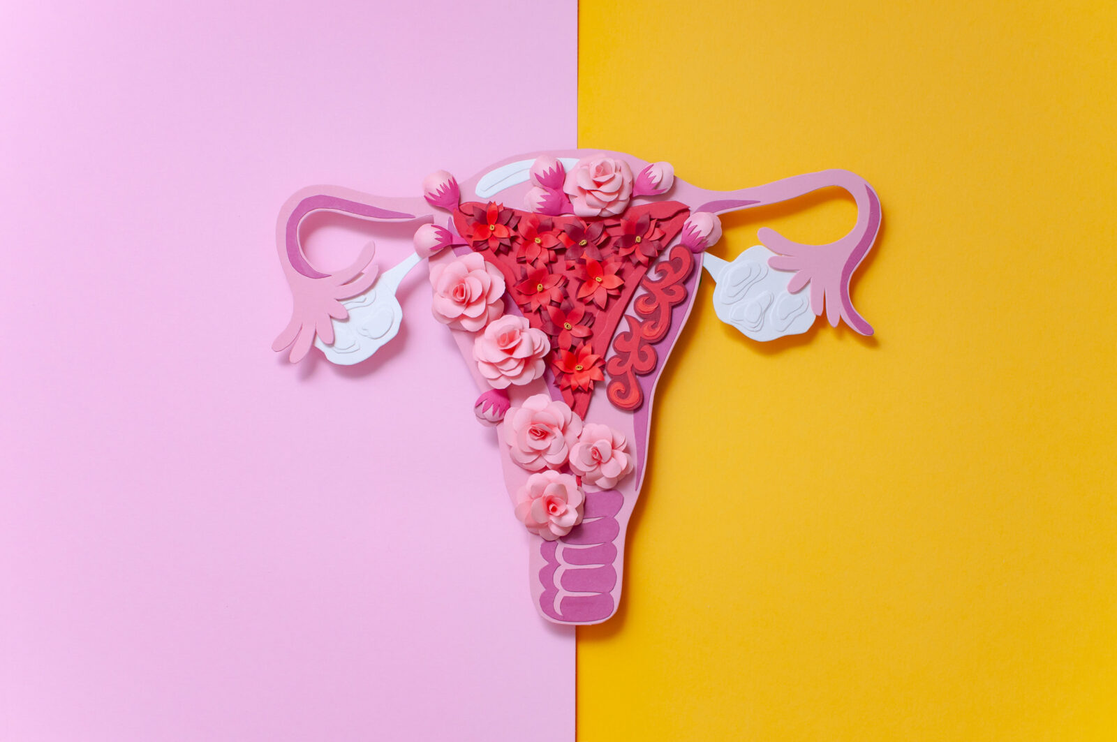 suplementacja w endometriozie