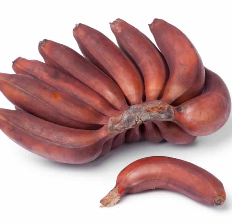 banany czerwone