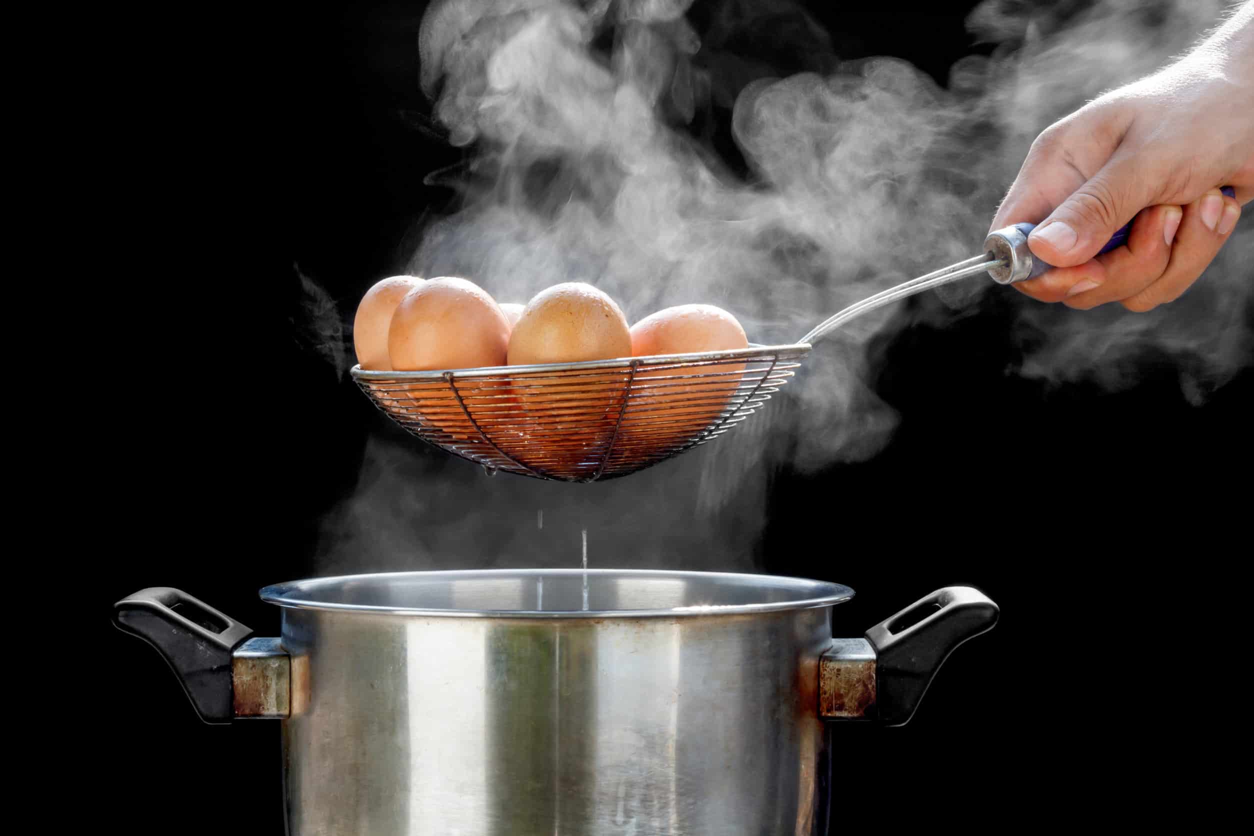 Steam boil eggs фото 94
