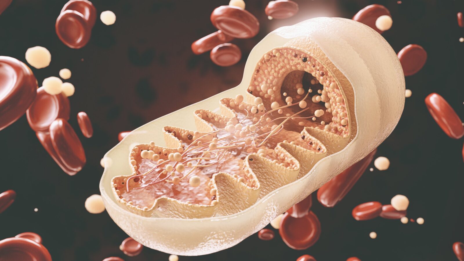 mitochondriopatia