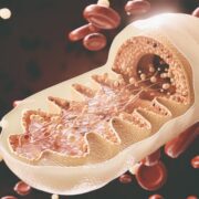 mitochondriopatia