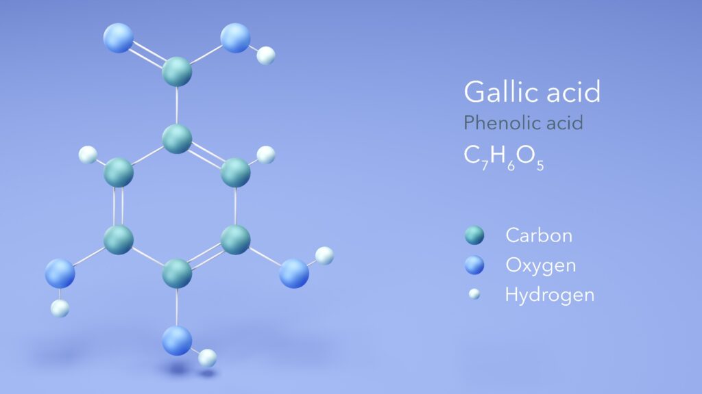 gallic acid