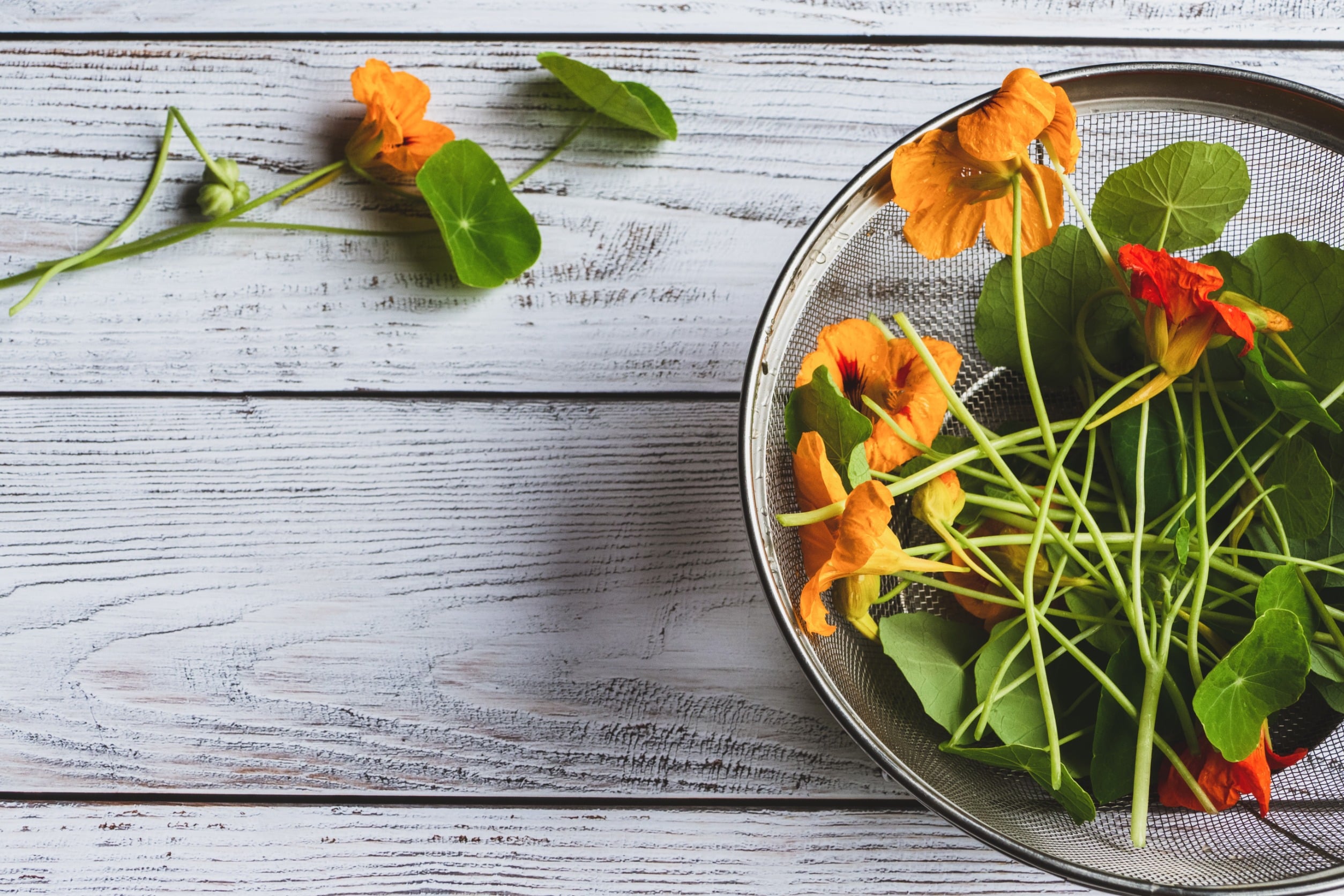 Preserving Nasturtium Flowers And Leaves For Future Use