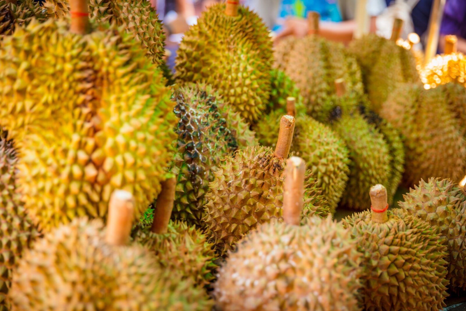 durian