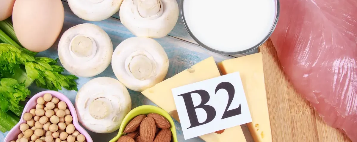 b2