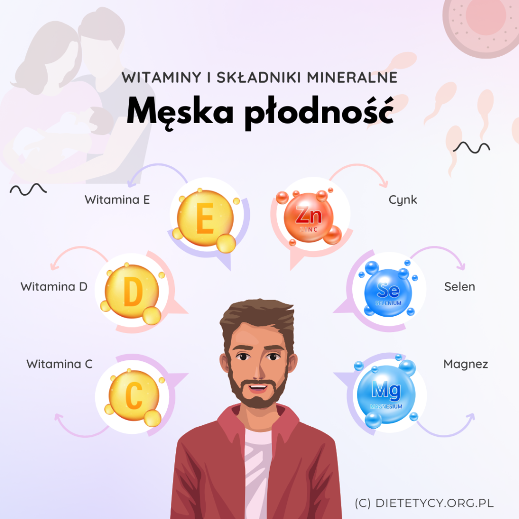 męska płodność infografika