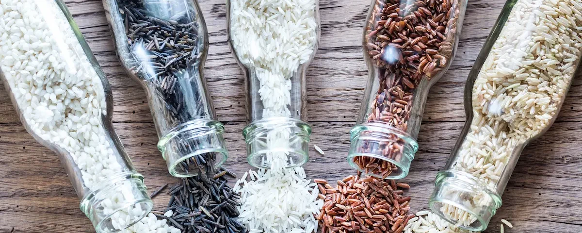 różne rodzaje ryżu