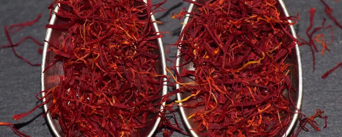 szafran