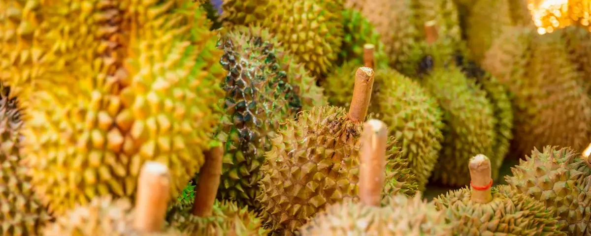 durian