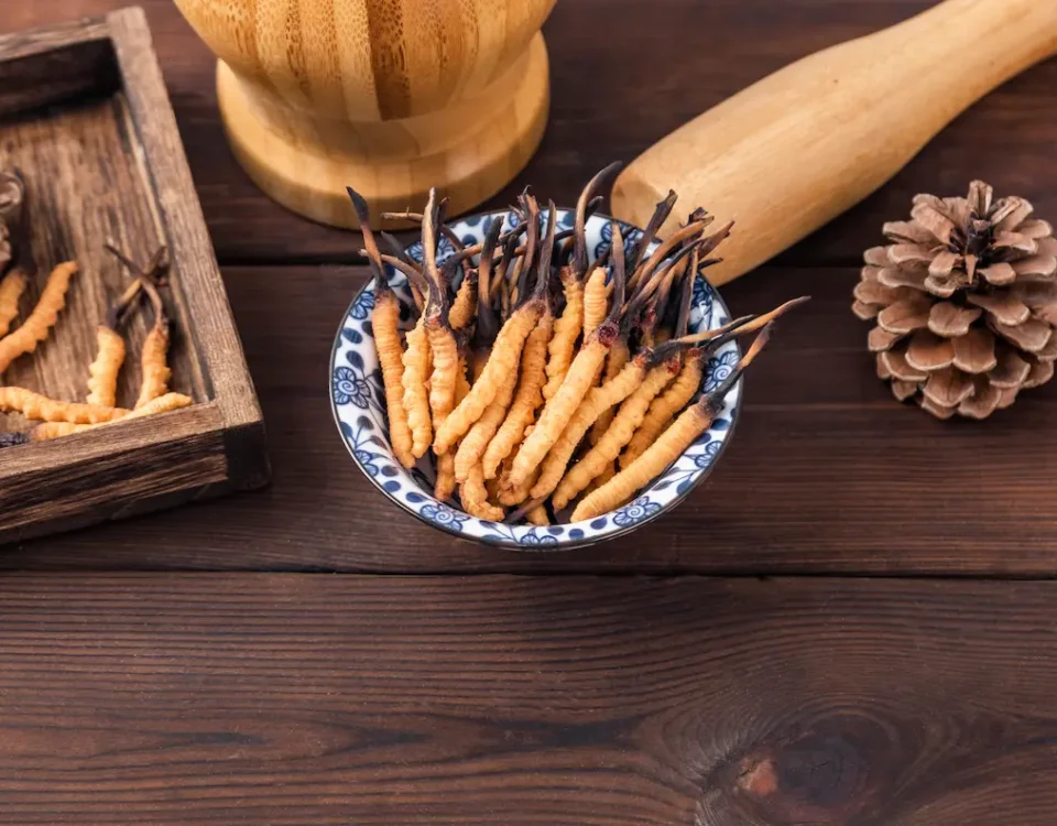 cordyceps
